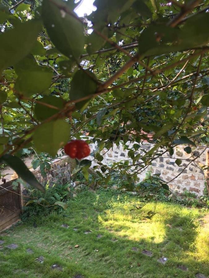 Casa No Paraiso Ecologico Da Ilha Grande エクステリア 写真